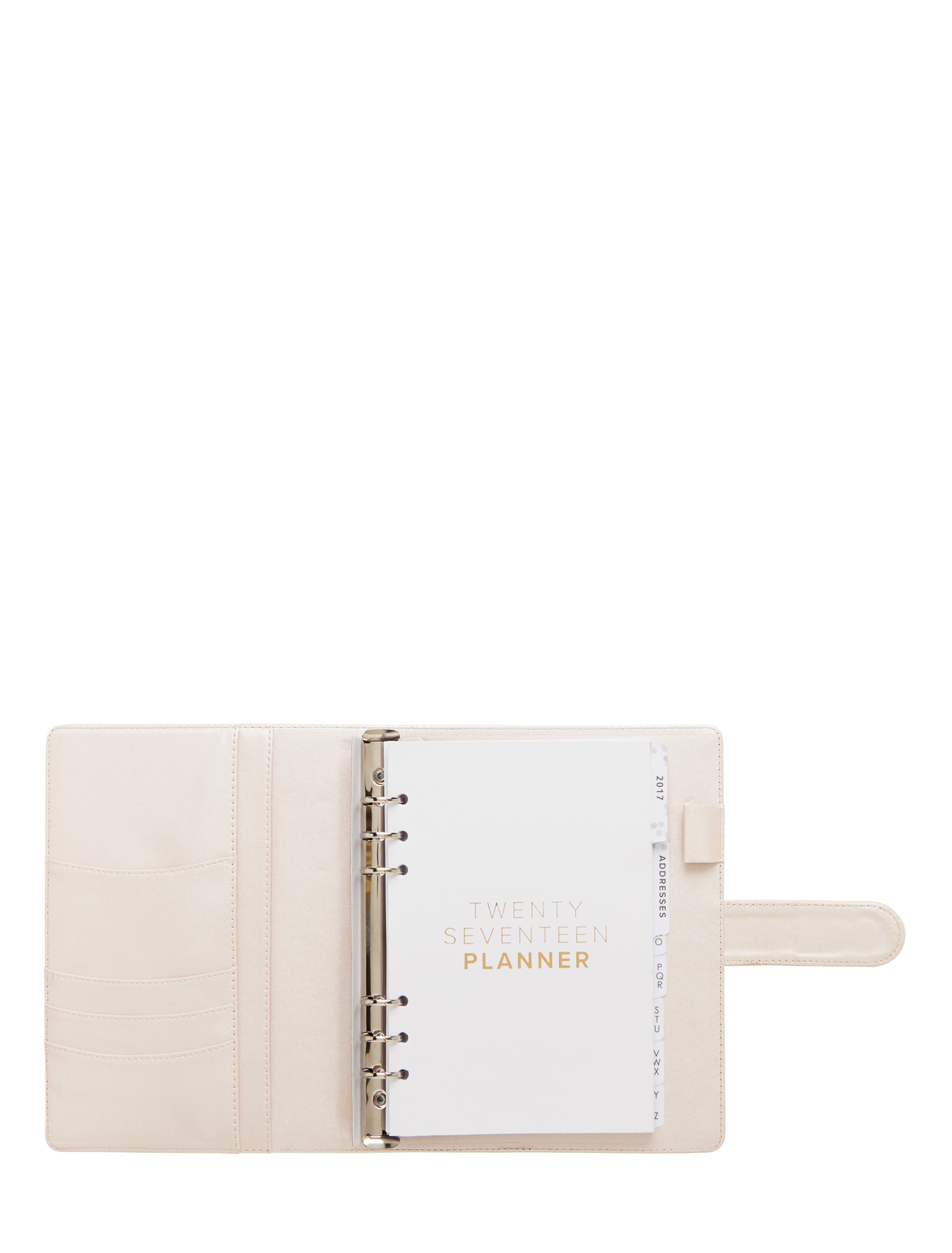 Milly Laser Cut Large Planner Nude/ Soft Gold_mannequin
